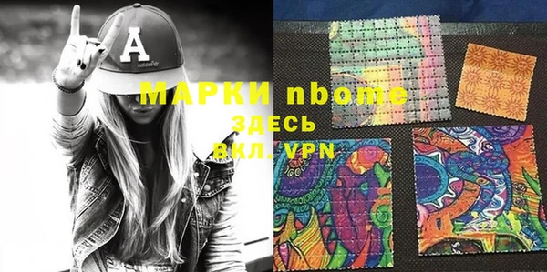 гашик Алексин