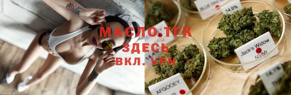 гашик Алексин