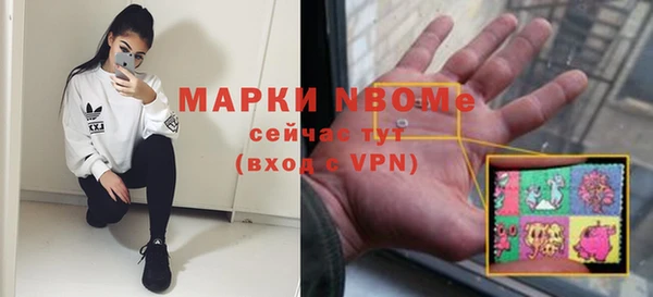 гашик Алексин