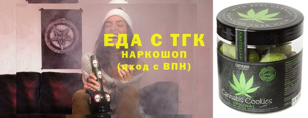 гашик Алексин