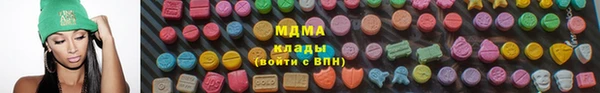 гашик Алексин